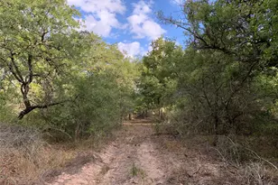 Tbd Private Road 1581, Hallettsville, TX 77964 - Photo 15