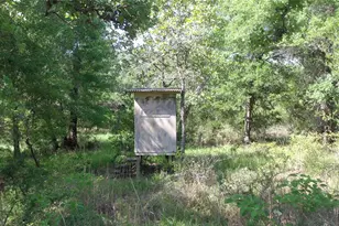 Tbd Private Road 1581, Hallettsville, TX 77964 - Photo 11