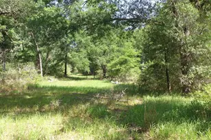 Tbd Private Road 1581, Hallettsville, TX 77964 - Photo 9