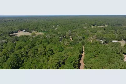 1047 Jim Bob Lane, New Ulm, TX 78950 - Photo 17
