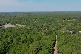 1047 Jimbob Ln, New Ulm, TX 78950 - Photo 17
