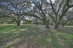 12218 Frantz Rd Rd, Cat Spring, TX 78933 - Photo 15
