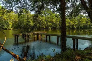 7551 Congress Trl Wy, Porter, TX 77365 - Photo 47