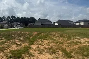 3224 Bushby Hawthorn Dr, Conroe, TX 77301 - Photo 1