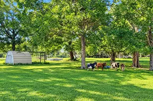 5762 County Rd 244, Brazoria, TX 77422 - Photo 15