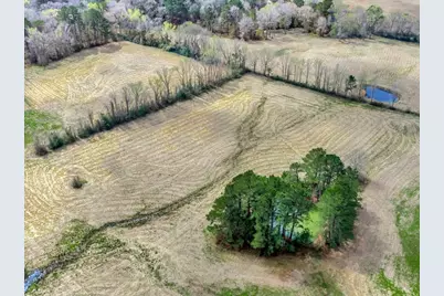 L28104 Gilliland Creek Road, Huntington, TX 75949 - Photo 7