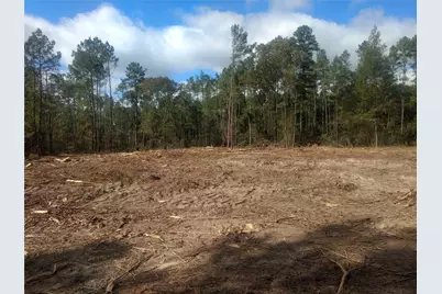 4109 N State Highway 19, Trinity, TX 75862 - Photo 5