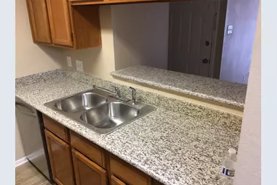 2120 El Paseo Street #1807, Houston, TX 77054 - Photo 7