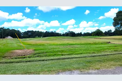 Lot 14 Montgomery Way, Trinity, TX 75862 - Photo 5