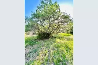 1147 County Road 156, Columbus, TX 78934 - Photo 7