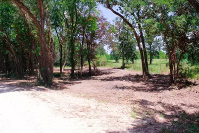 1.5+/- Acres Greenbriar Road, Madisonville, TX 77864 - Photo 3