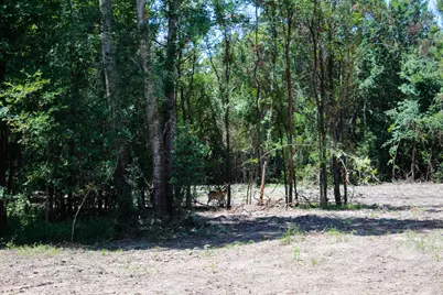1.5+/- Acres Greenbriar Road, Madisonville, TX 77864 - Photo 1