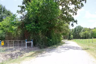 1.5+/- Acres Greenbriar Road, Madisonville, TX 77864 - Photo 5