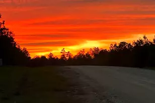 16302 Golden Wood Ct, Willis, TX 77378 - Photo 9