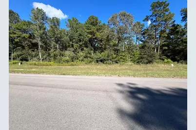 16302 Golden Wood Court, Willis, TX 77378 - Photo 3