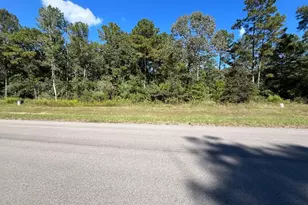 16302 Golden Wood Ct, Willis, TX 77378 - Photo 3