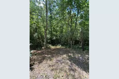 00 Bear Bottom, Wharton, TX 77488 - Photo 5