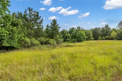 5930 Honea Egypt Road, Montgomery, TX 77316 - Photo 7