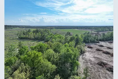 9770 N State Hwy 94, Groveton, TX 75845 - Photo 37