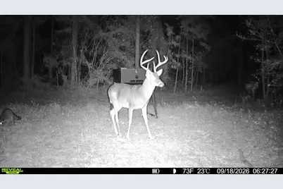 00 Cr 2065, Crockett, TX 75835 - Photo 29