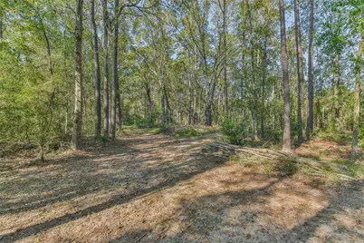 24237 Creekwood Drive, Splendora, TX 77372 - Photo 47
