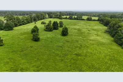 0004 County Road 2780, Woodville, TX 75979 - Photo 15