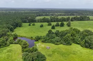 0004 County Road 2780, Woodville, TX 75979 - Photo 1
