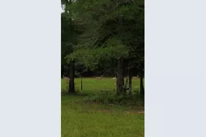 5670 Fm 770 Road, Kountze, TX 77625 - Photo 15