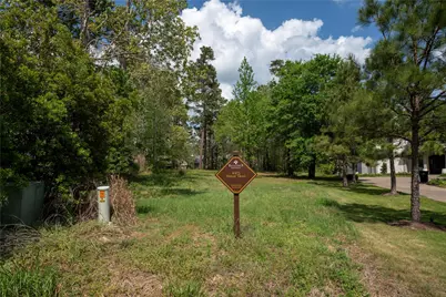 4473 Holly Trail Road, Montgomery, TX 77316 - Photo 9