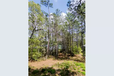 4473 Holly Trail Road, Montgomery, TX 77316 - Photo 11