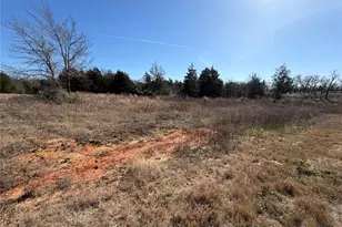 Lot 20 Cr 389, Jewett, TX 75846 - Photo 3