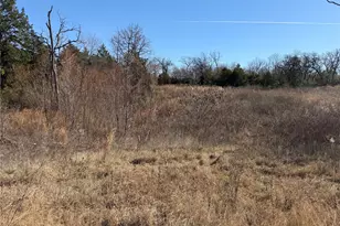 Lot 20 Cr 389, Jewett, TX 75846 - Photo 9