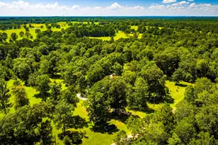 846 Savannah Ln, Livingston, TX 77351 - Photo 47