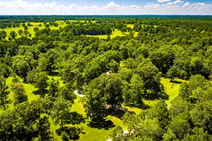 846 Savannah Ln, Livingston, TX 77351 - Photo 41