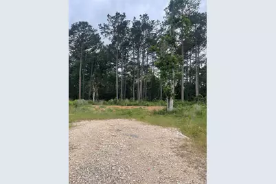 11338 Annie Creek Drive, Willis, TX 77378 - Photo 1