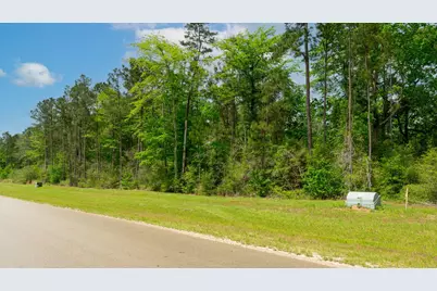 10627 Ruger Road, Willis, TX 77378 - Photo 3