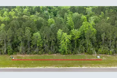 10627 Ruger Road, Willis, TX 77378 - Photo 5