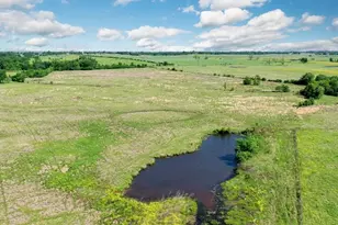 276Â± Ac Fm 977, Leona, TX 77871 - Photo 1