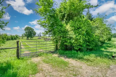 276Â± Ac Fm 977, Leona, TX 77871 - Photo 5