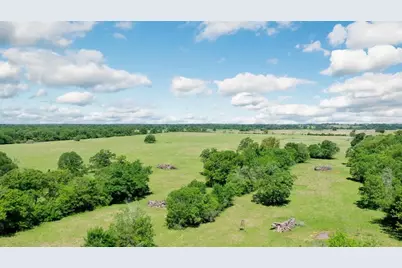 276Â± Ac Fm 977, Leona, TX 77871 - Photo 23