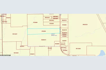 4525 N Fm 1486 Road, Montgomery, TX 77356 - Photo 11