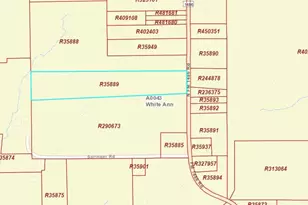 4525 N Fm 1486 Rd, Montgomery, TX 77356 - Photo 11