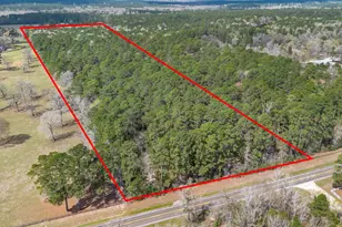 4525 N Fm 1486 Rd, Montgomery, TX 77356 - Photo 3