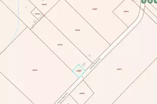 1857 County Rd 318, Brazoria, TX 77422 - Photo 3