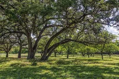 Tract 1 - 8145 Fm 390 E, Brenham, TX 77833 - Photo 13