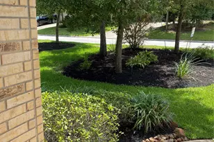 42 Black Swan Ct, The Woodlands, TX 77354 - Photo 3