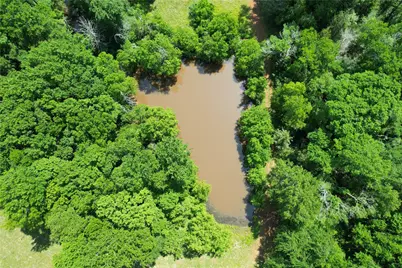 535 County Road 1710, Grapeland, TX 75844 - Photo 35