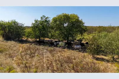 Tbd County Road 124, Prairie Hill, TX 76673 - Photo 9