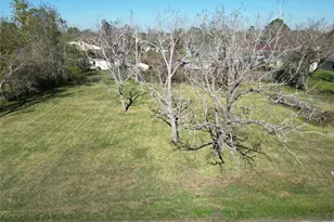 409 Carlton St, Brazoria, TX 77422 - Photo 1