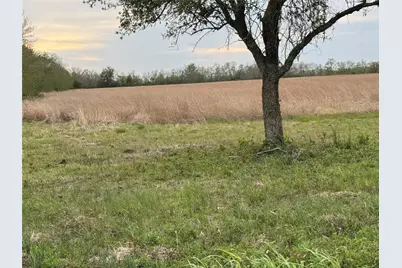 02 County Road 46, Danbury, TX 77534 - Photo 13